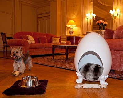 Mon shopping de la semaine...