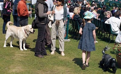 Jumping à Chantilly