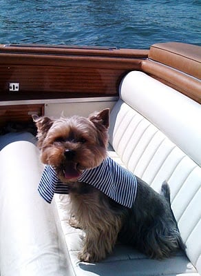 Larguons les amarres !