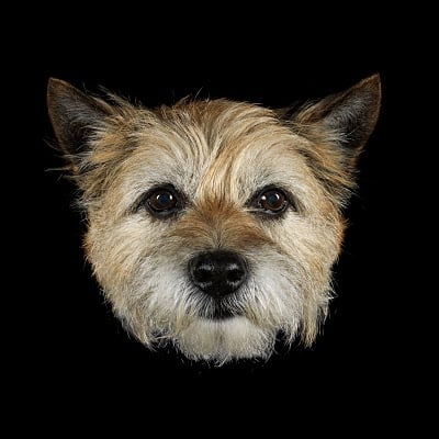 Making of de ma séance photo !