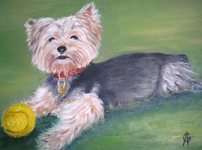 Jeu de balles à Roland Garros...