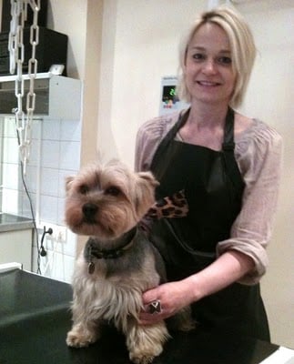 Ma coupe de printemps...