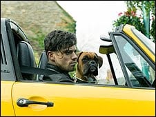 Un boxer à l'honneur de la 10ème Palm Dog