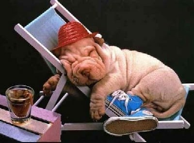 Au secours, bientôt les vacances !