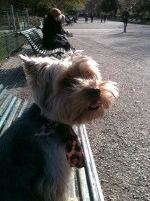 Week-end aux jardins...