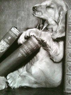 Mes romans coups de cœur...