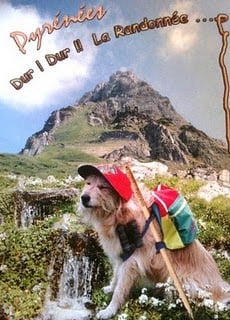 Que la montagne est belle...