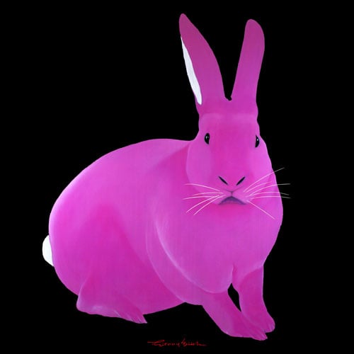 PETIT-LAPIN-ROSE