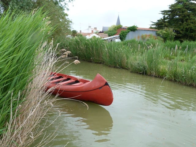 kayak