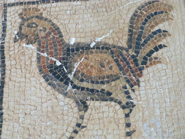 mosaique poule