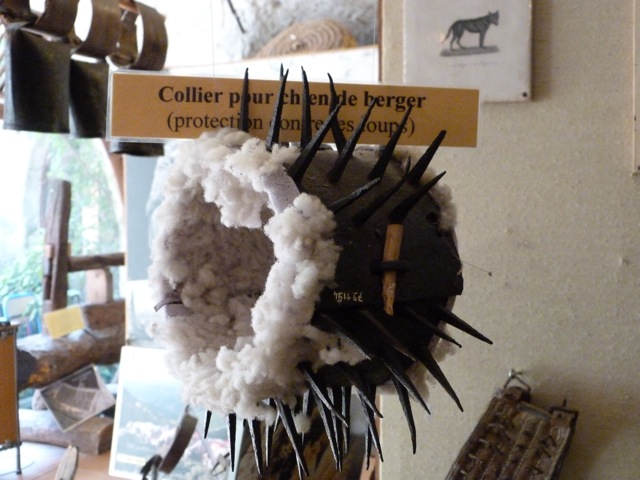 collier chien de berger