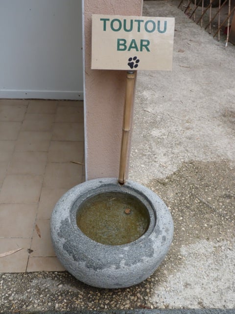 toutou bar