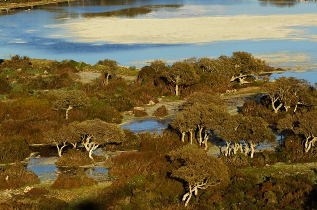 Giara di Gesturi- Cagliari