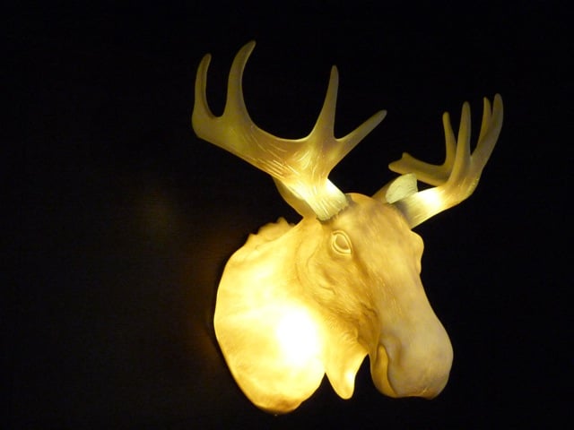 renne symbole de la laponie