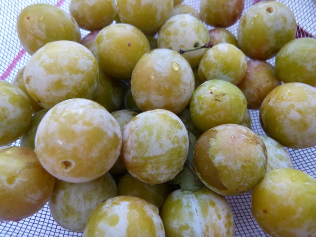 MIRABELLES