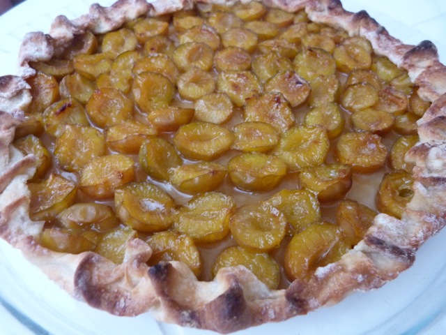TARTE MIRABELLES