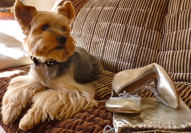 ballerines argent et pochon