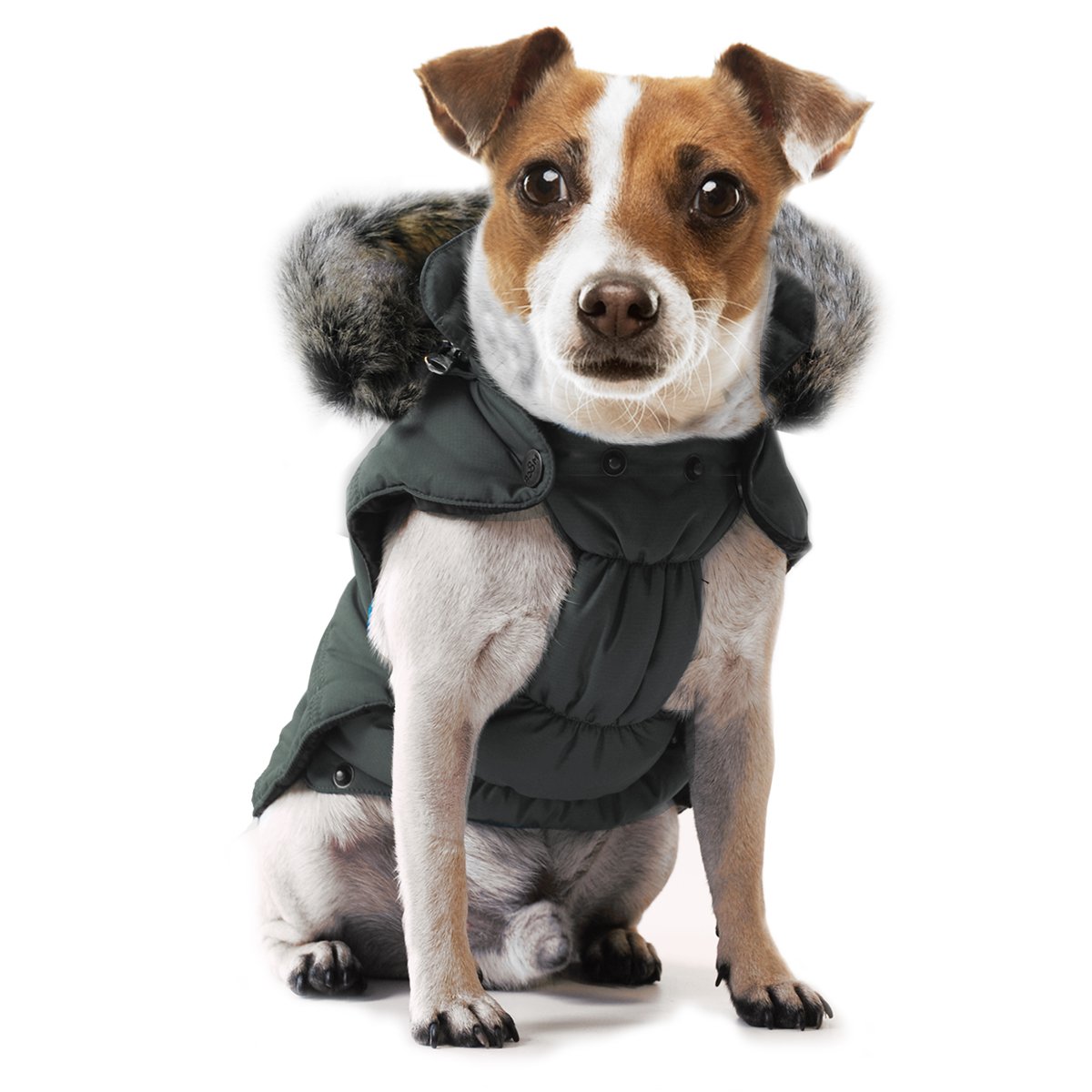 MP1179 APEN Grey Dog