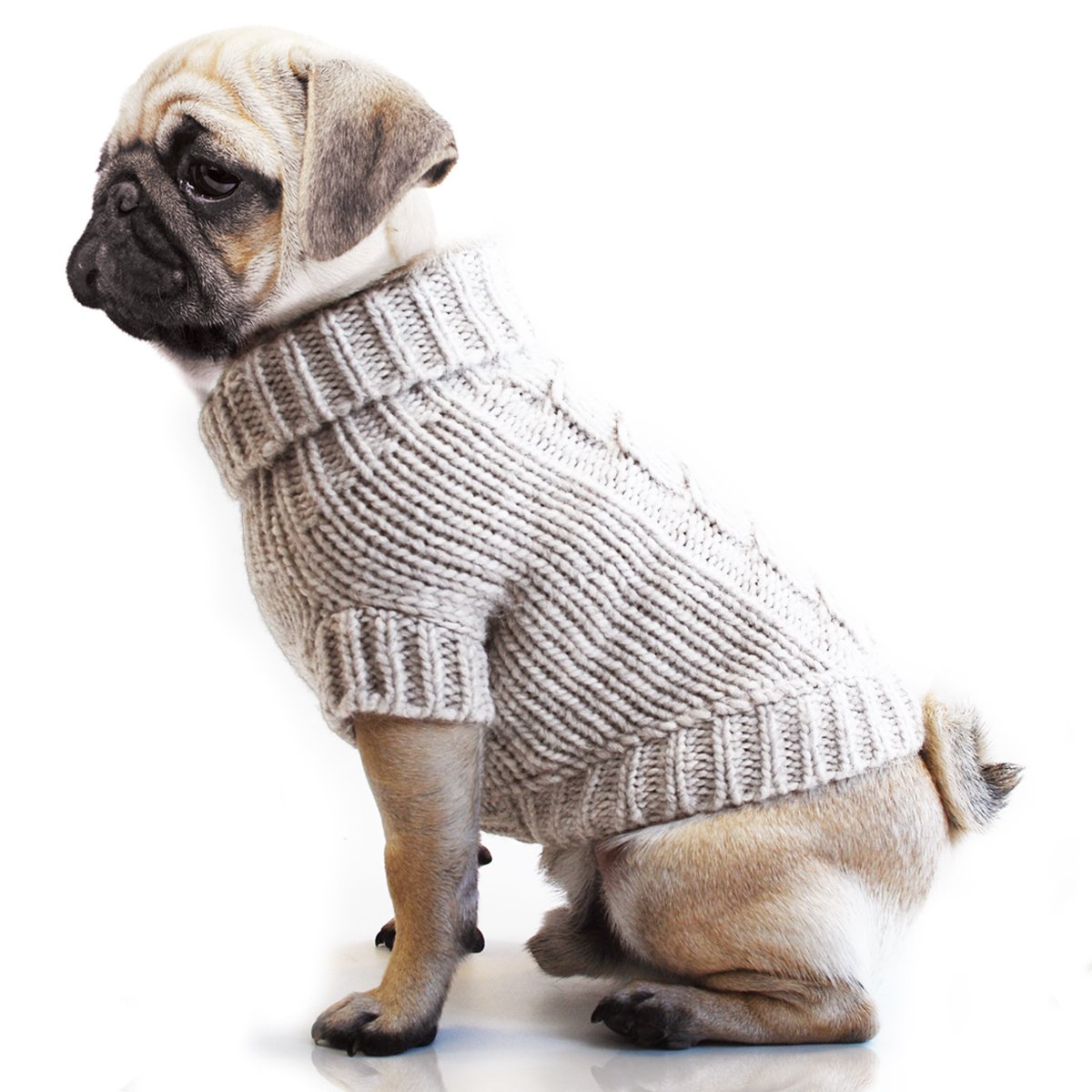 MP1199 INIS Ecru Dog