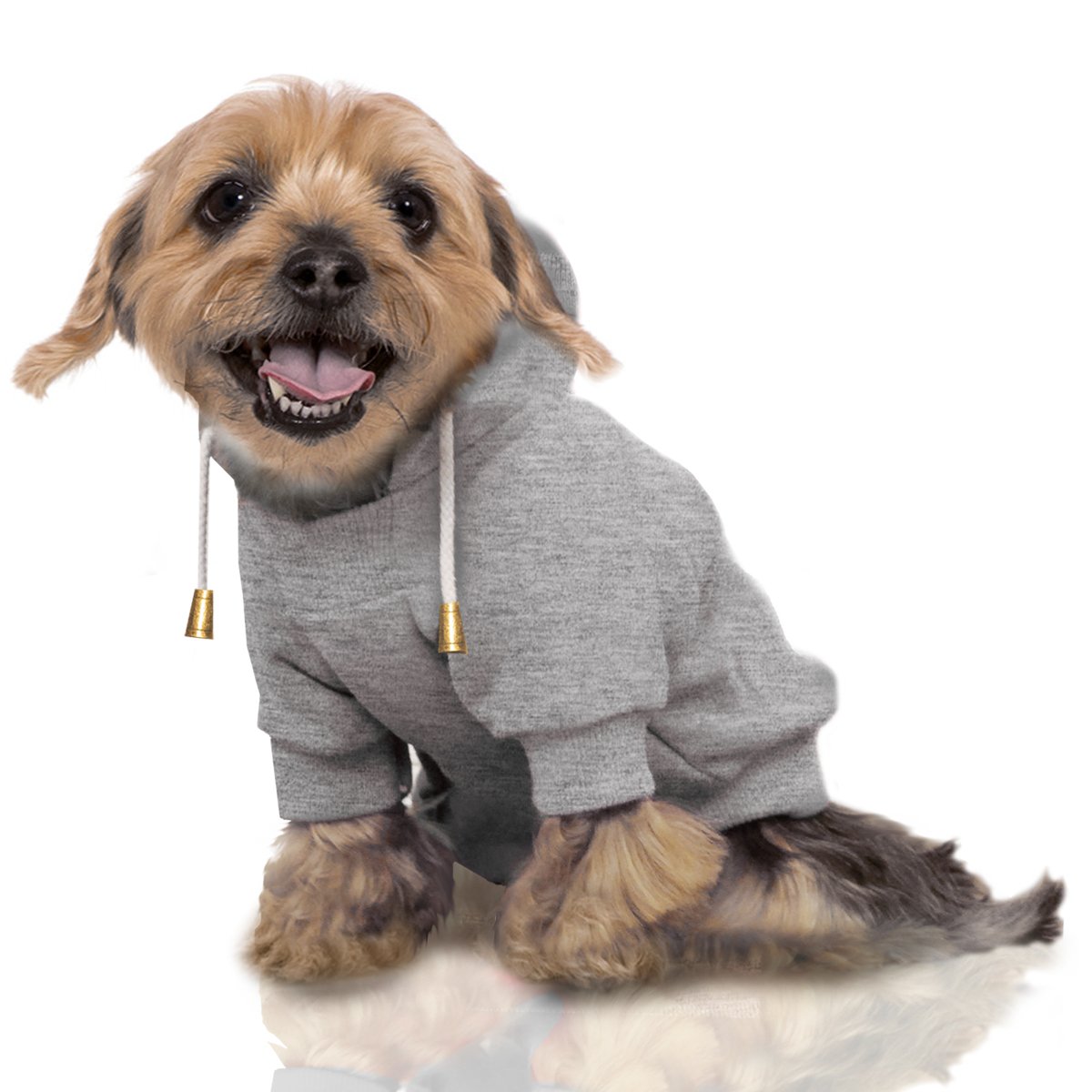 MP1209 JEWEL Grey Dog