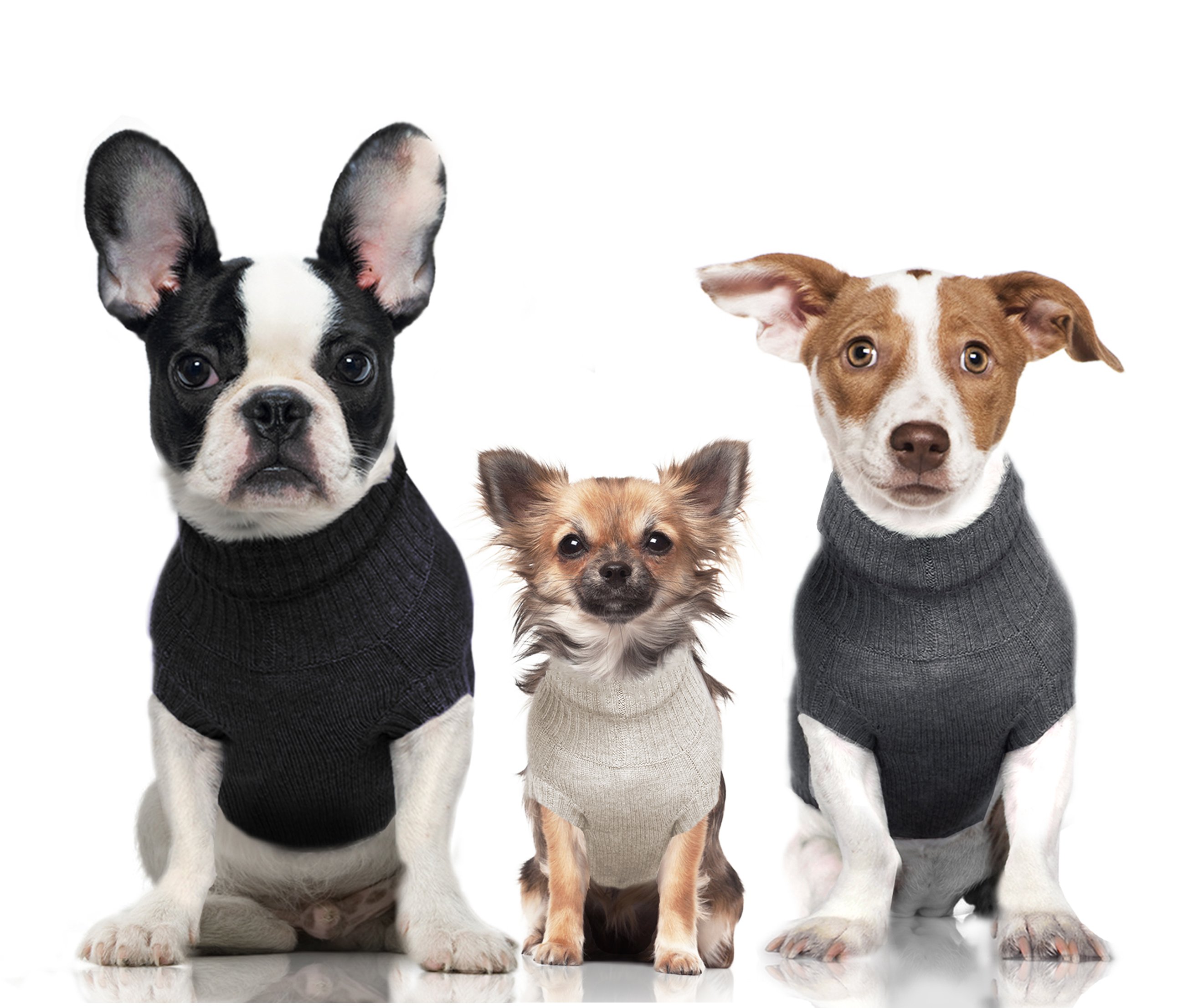 Milk&Pepper Pulls COLD 2