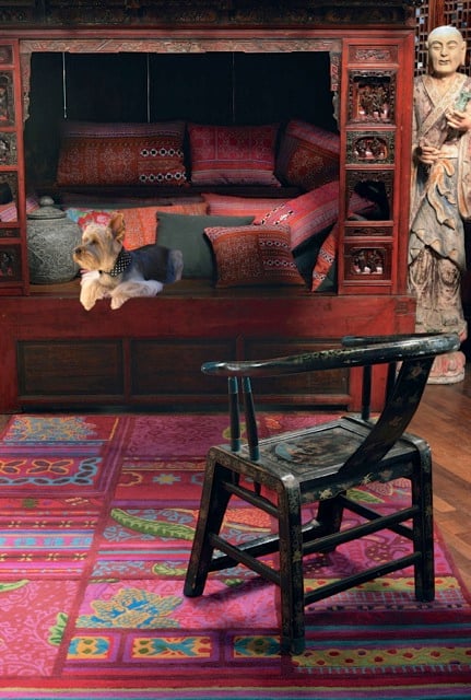 la-chronique-de-voltaire