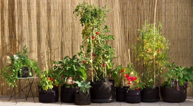 pot-geotextile-Du-monde-au-balcon-photos-1m-1