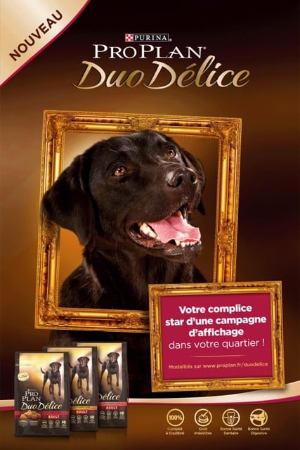 Duo-Delice-Affiche-Campagne