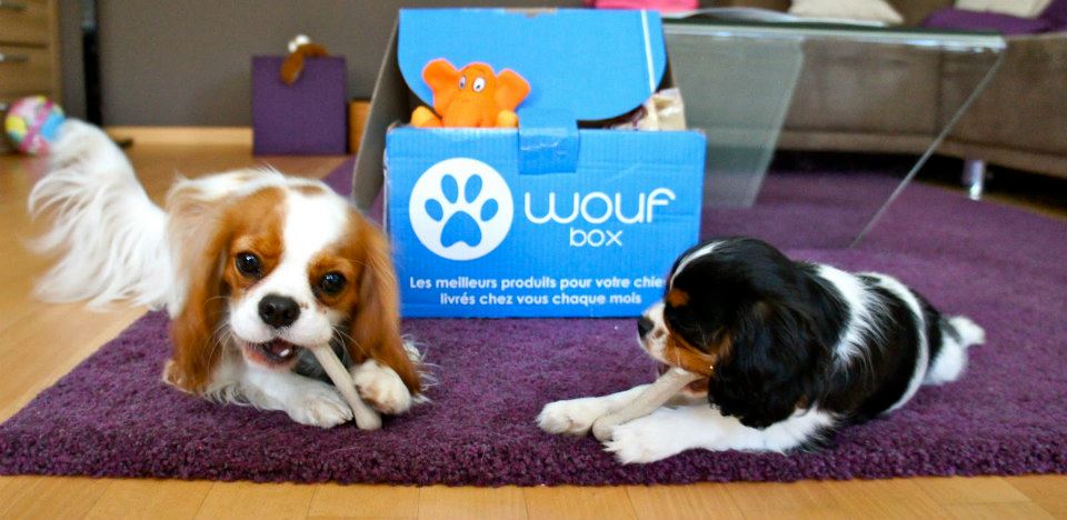 Woof-Box