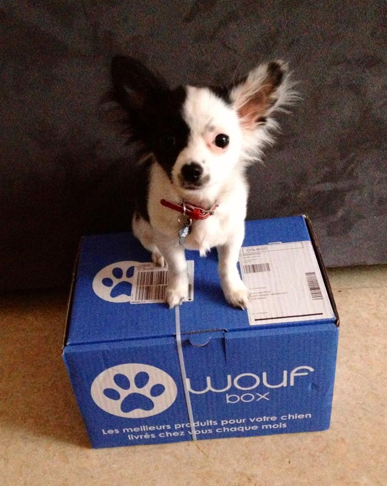 Woof-Box