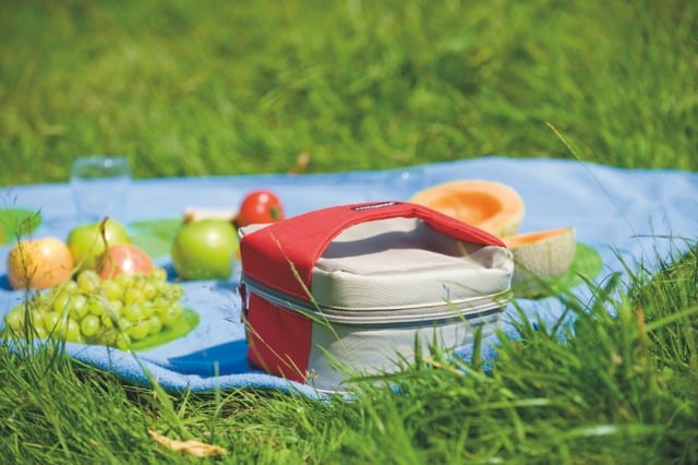 Freezbox-Picnic-rouge