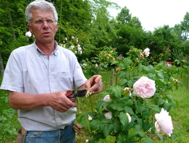 roseraire-de-provins