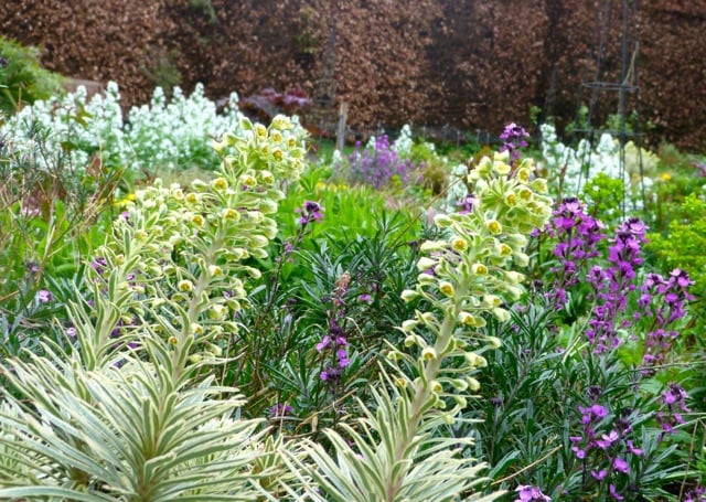 irlande-mountushergardens