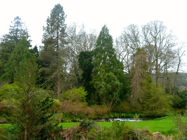 irlande-mountushergardens