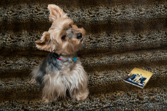 credit-photo-martine-mouchy