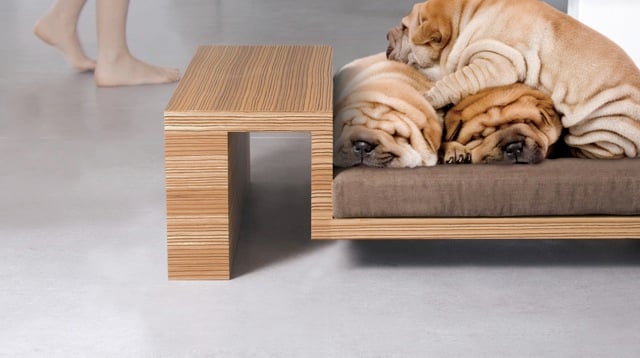 Ambiance-Divanato-panier-cuccia-design