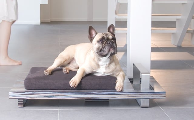 Ambiance Piedato panier cuccia design