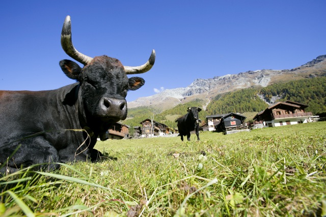 PHOTO-GENIC.CH/ OLIVIER MAIRE