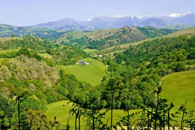 ossau-iraty-routedufromage