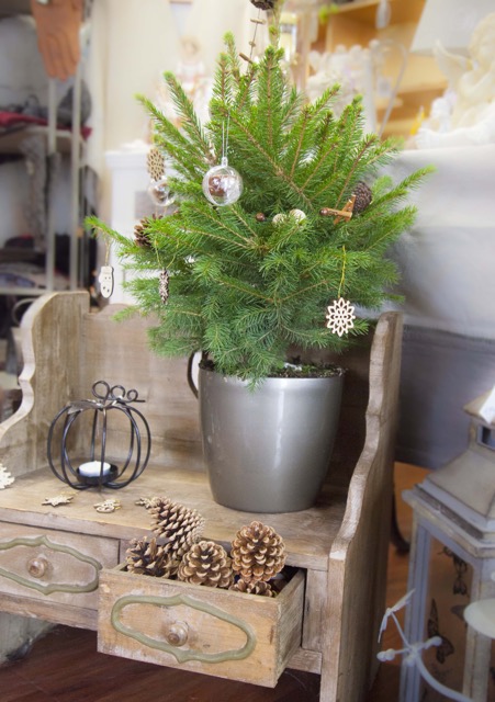 12441_MyLittleSapin - Nature (2)