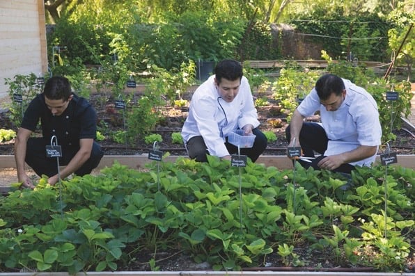 Domaine de Massillan