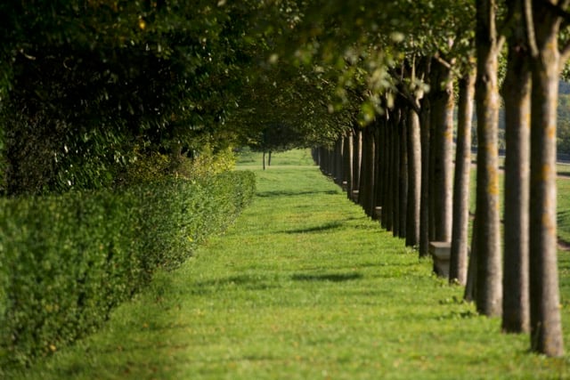 Jardin-Pavillon-Henri-IV