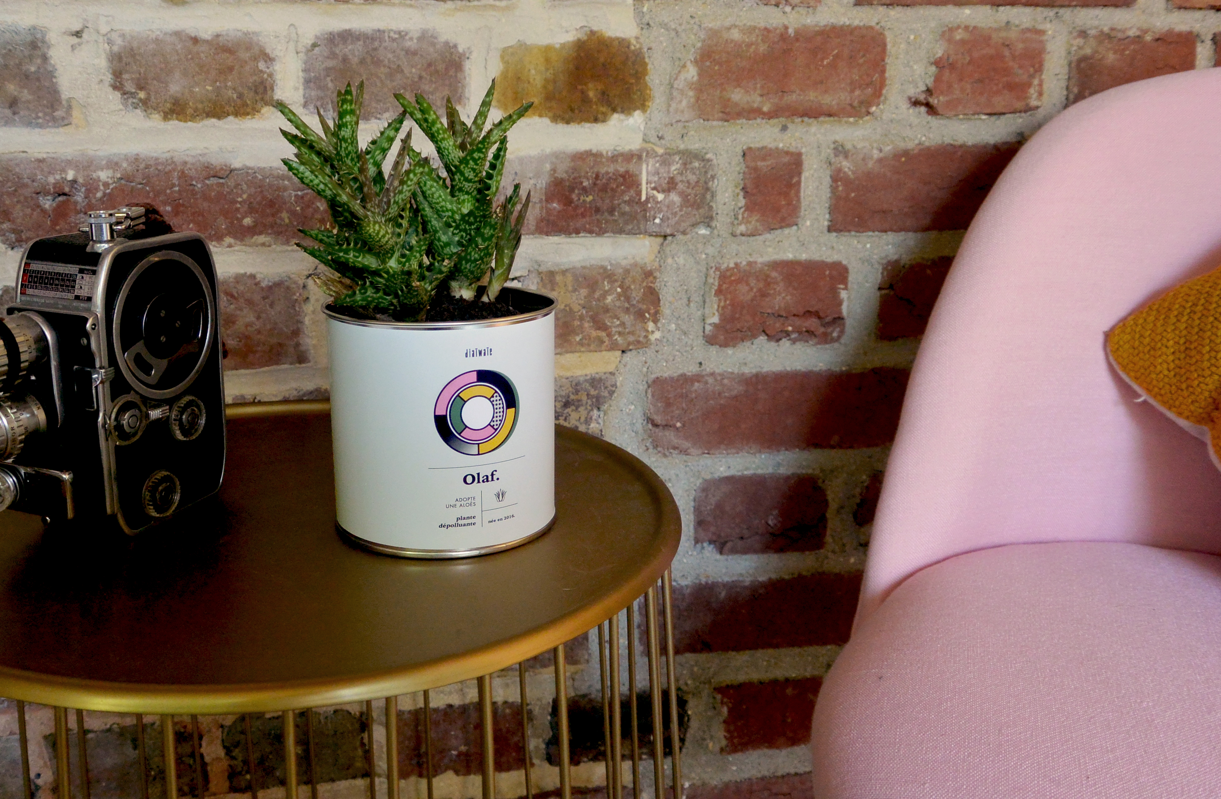 Crédit Candice Vanhoorne