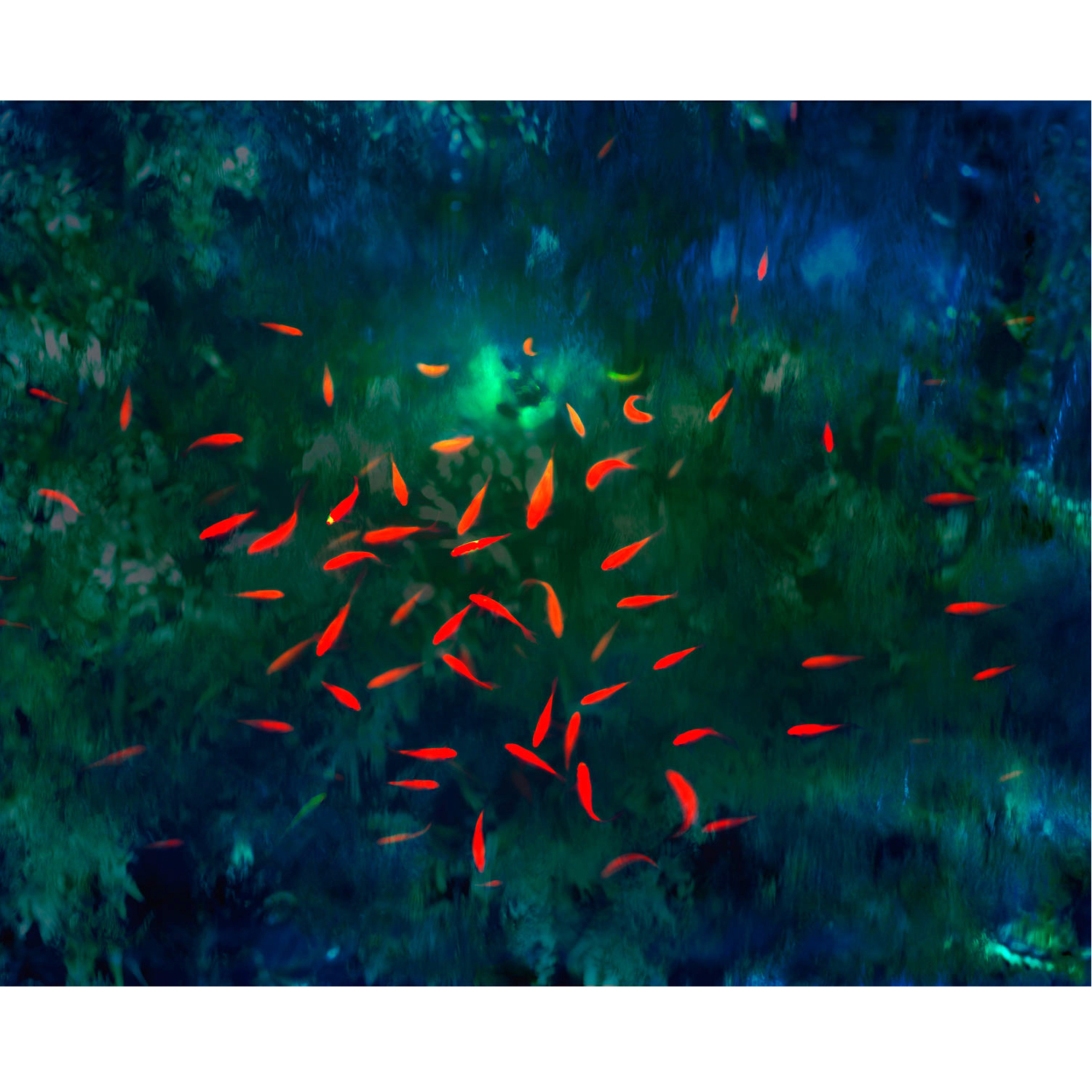 Crédit Alain Longeaud