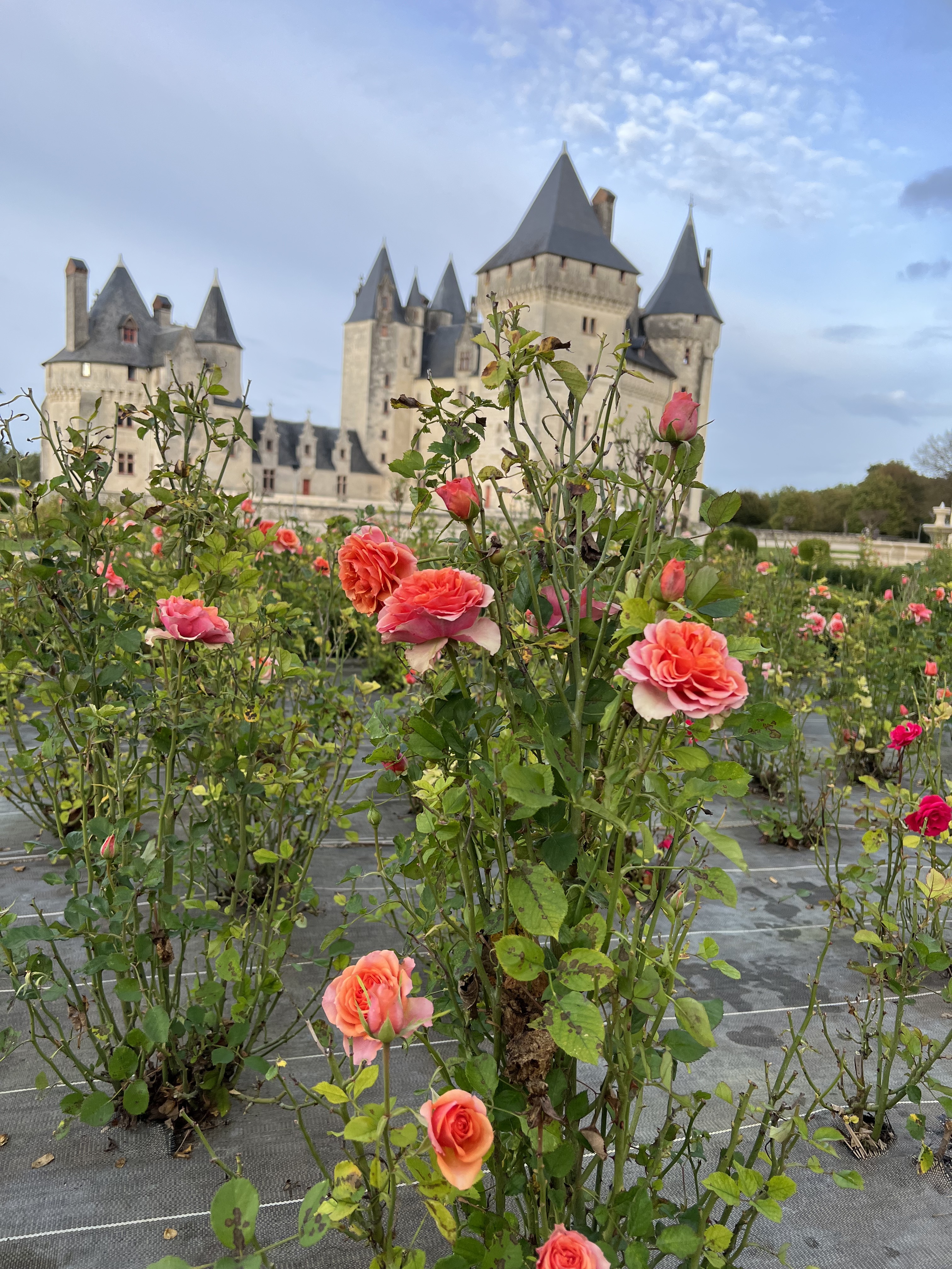 Château du Coudray Montpensier - Crédit Florence Batisse-Pichet