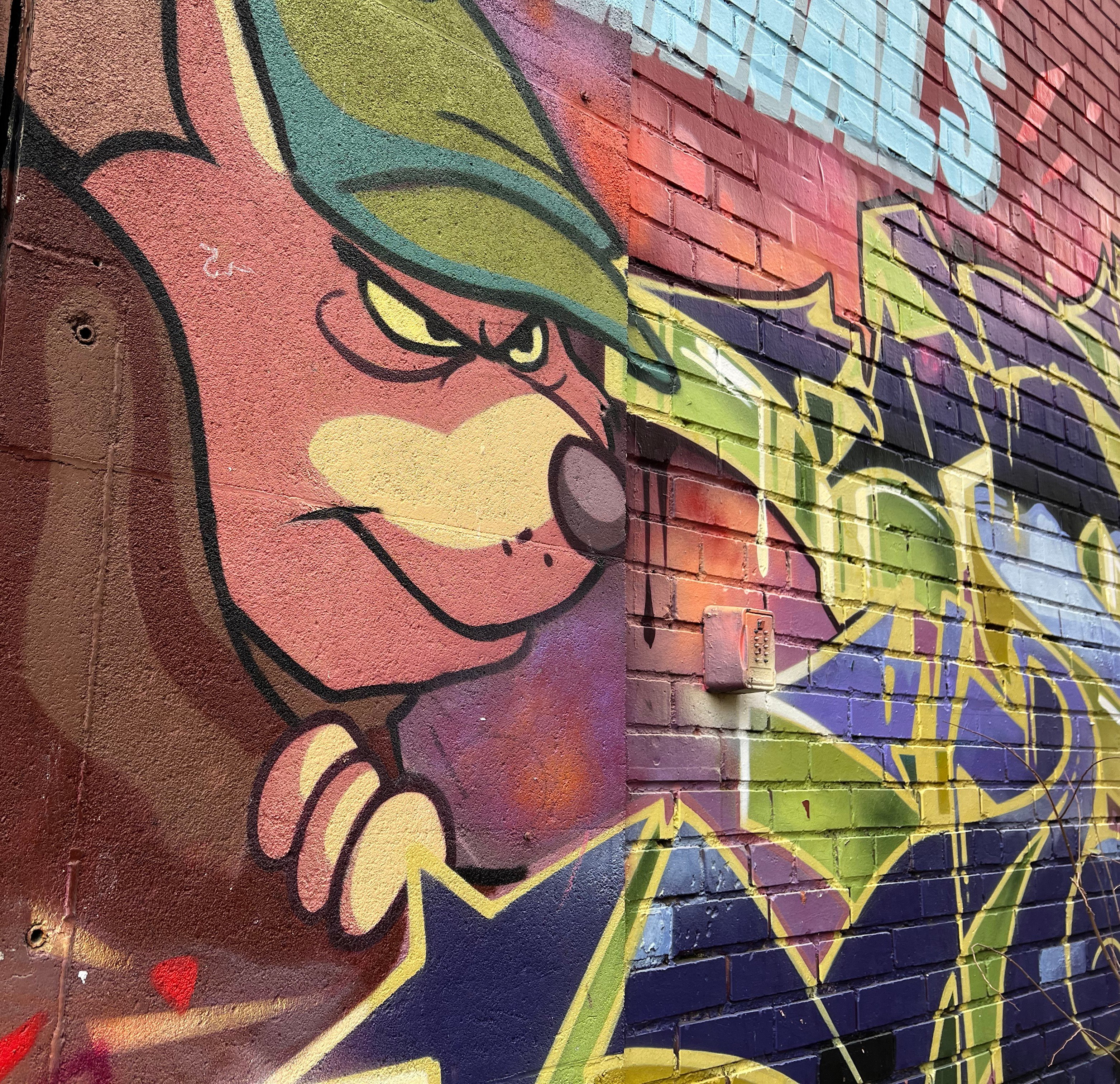 Aperçu des murales de Montréal pendant la visite guidée proposée par Mélanie Renaud. Crédit Chemin Lisant