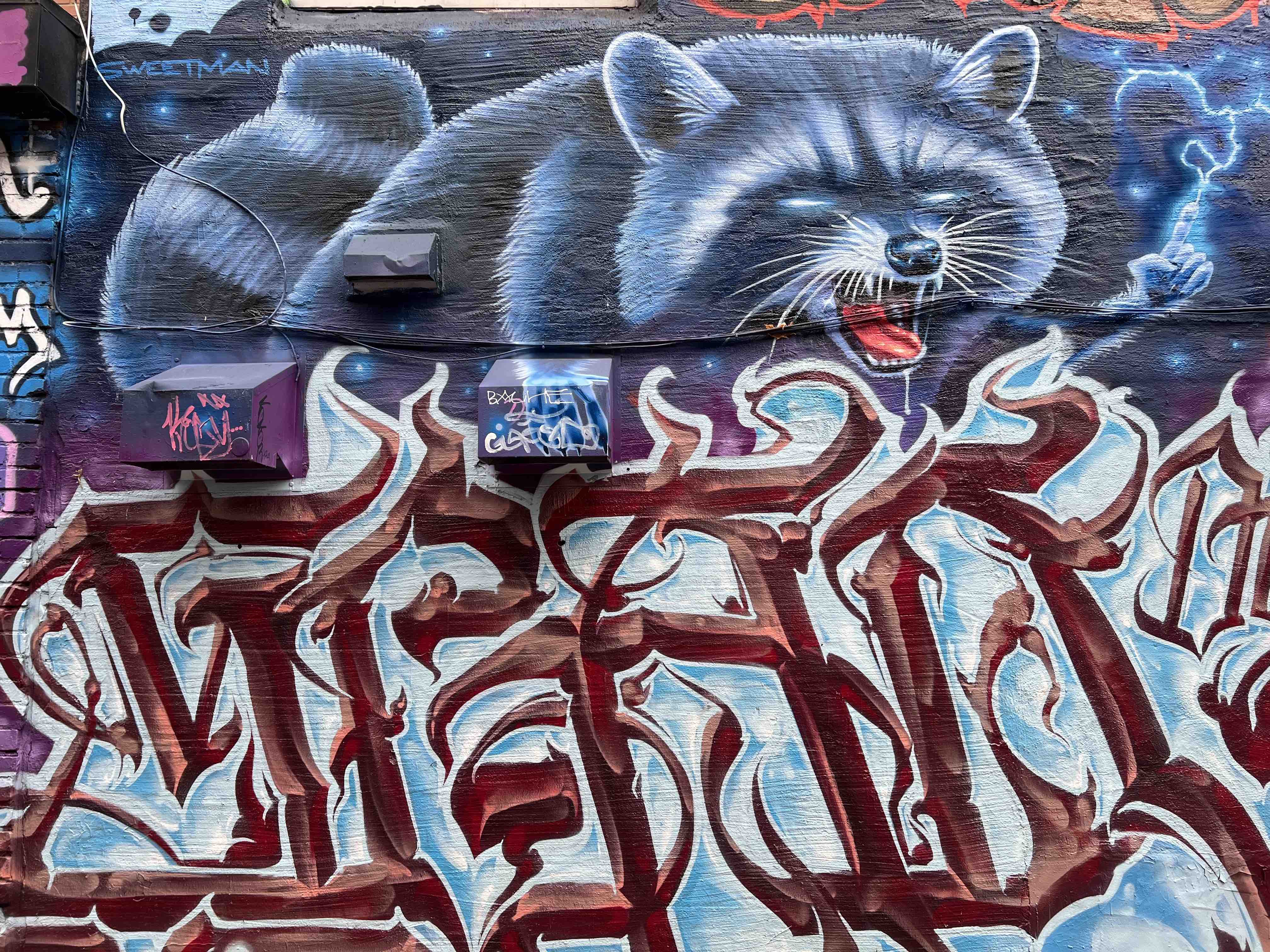 Aperçu des murales de Montréal pendant la visite guidée proposée par Mélanie Renaud. Crédit Chemin Lisant